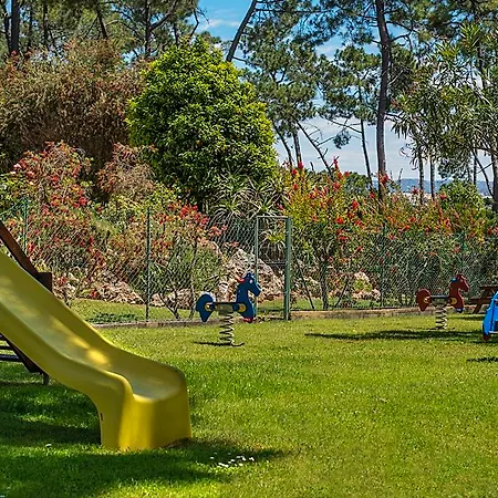 Ap Victoria Sport And