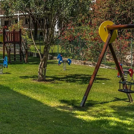 Ap Victoria Sport And