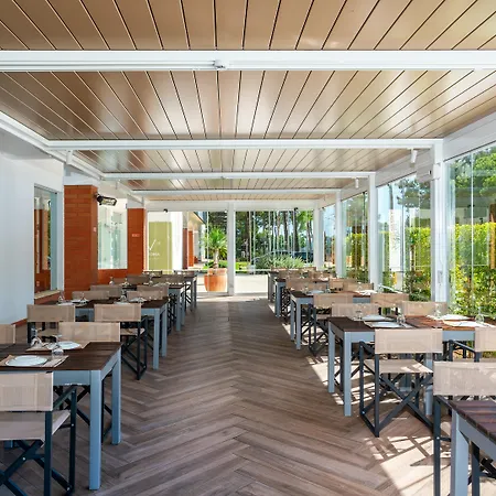 Ap Victoria Sport And 4*